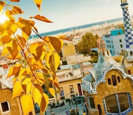 Bed & Breakfast Gotica In Centro Barcelona Barcelona